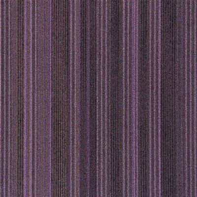 FXN181-38m