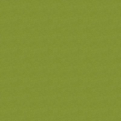 Polichrome Solid 4266012 Peridot 0,5x 0.5 м