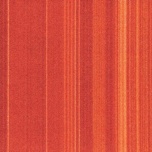 FXN128-33m
