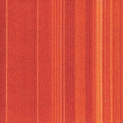 FXN128-33m