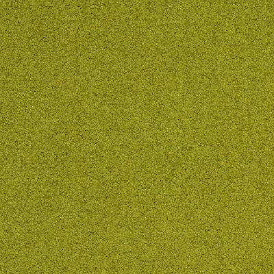 7062_Palatino