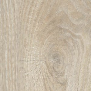 8222 ANTIQUE NUT TREE