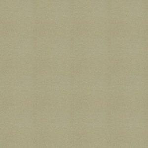 Polichrome Solid 4266017 Turtledove 0,5x 0.5 м