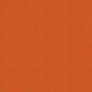 Polichrome Solid 4266022 Carrot 0,5x 0.5 м
