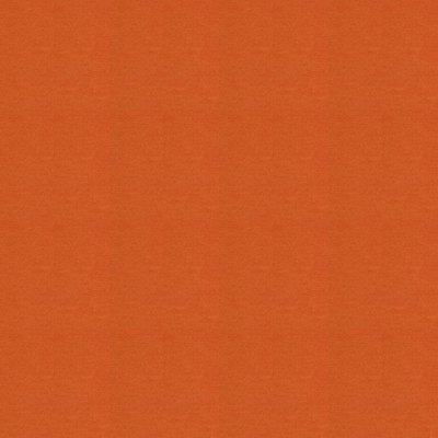 Polichrome Solid 4266022 Carrot 0,5x 0.5 м