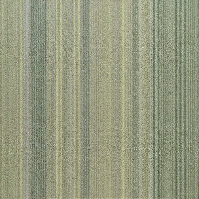 FXN83-11-54m