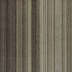FXN95-81-69m