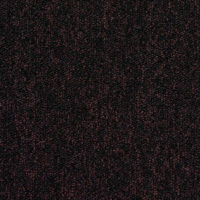 2081_Tempra_TB
