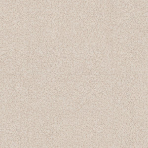 0033 Spider Beige