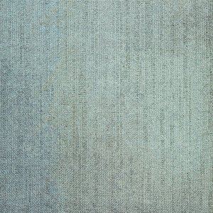 WLN37-172m