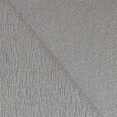 CEC06m