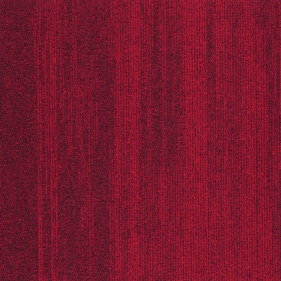 SCNFP109L