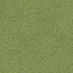 Employ Loop 4197015 Kiwi, 0.5x0.5 m