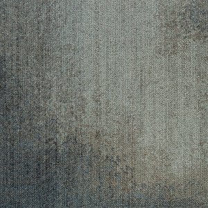 WLN79-173m