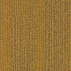 6102_Grids