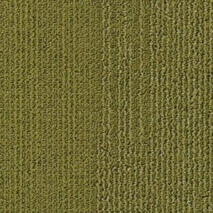 7005_Grids