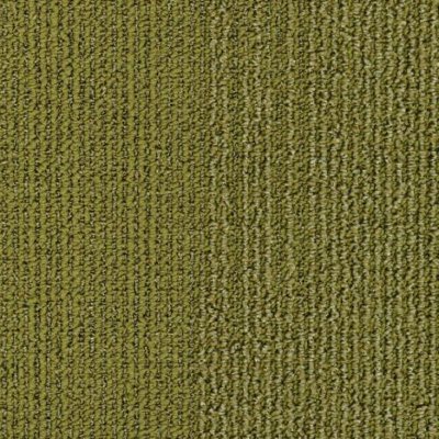 7005_Grids