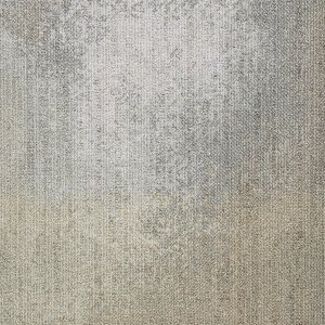 WLN144-83m