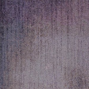 WLN181-38m