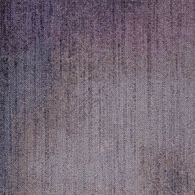 WLN181-38m