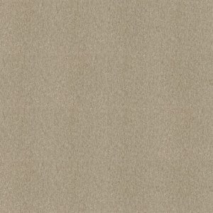 Output Loop 4219001 Sandstone