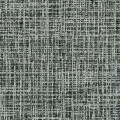 SEQ108-79m