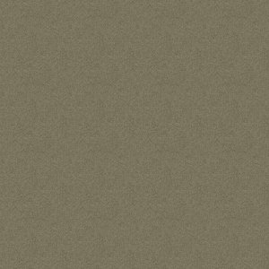 Polichrome Stipple 608821 Hazel 0,5x 0.5 м