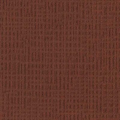 Monochrome 346720 Terra Firma 0,5x 0.5 м