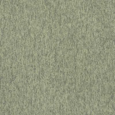 New Horizons II 5584 (5526) Chameleon 0.5 x 0.5 m