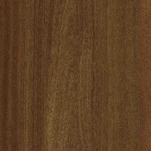 3316 SAPELLI