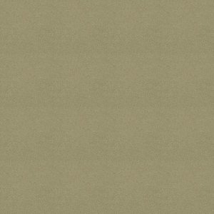Polichrome Stipple 4265017 Linen 0,5x 0.5 м