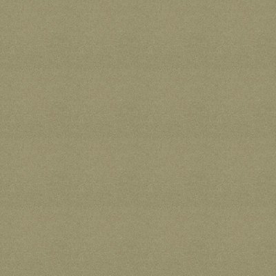 Polichrome Stipple 4265017 Linen 0,5x 0.5 м