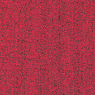 FWK169L