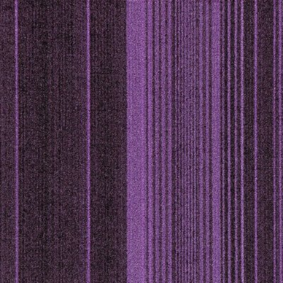 FXN66-178m