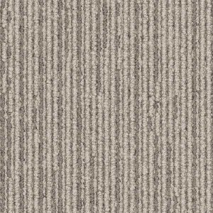 Unity 1136056 Fossil 0.5 x 0.5 m