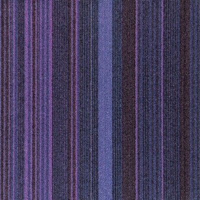 FXN151-66m