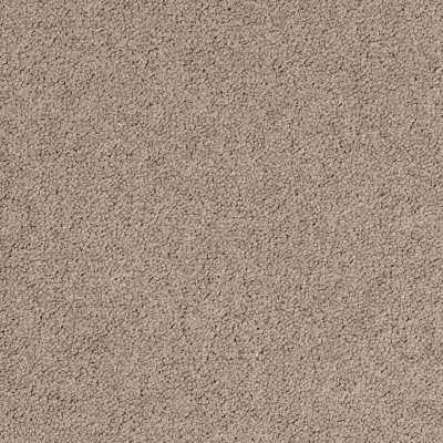 2923_Palatino