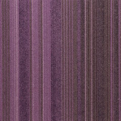 FXN164-104m