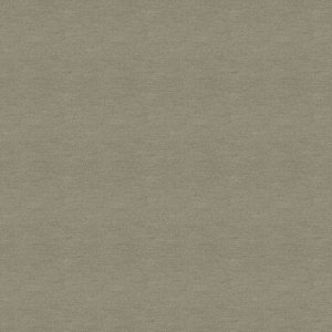 Polichrome Solid 4266007 Shiitake 0,5x 0.5 м