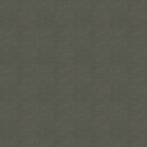 Polichrome Solid 4266008 Mole 0,5x 0.5 м