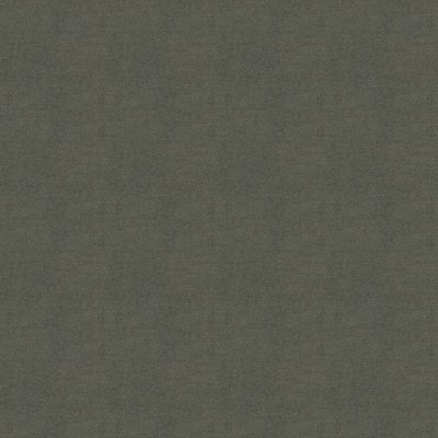 Polichrome Solid 4266008 Mole 0,5x 0.5 м
